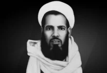 محمد الخضر أحمد مايأبى الجكني