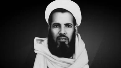 محمد الخضر أحمد مايأبى الجكني